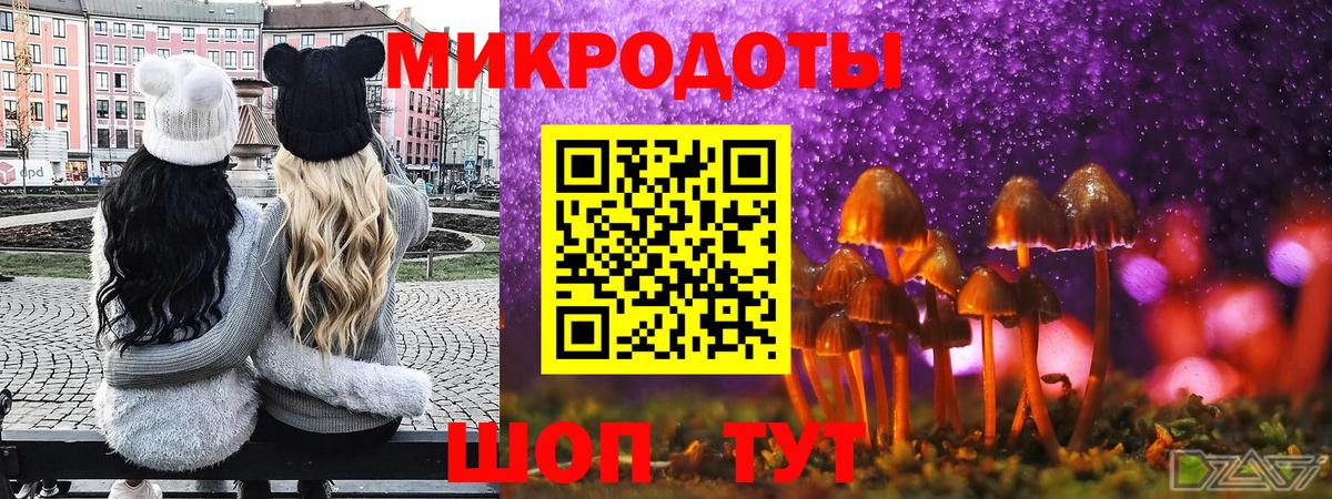 Псилоцибиновые грибы прущие грибы Ноябрьск