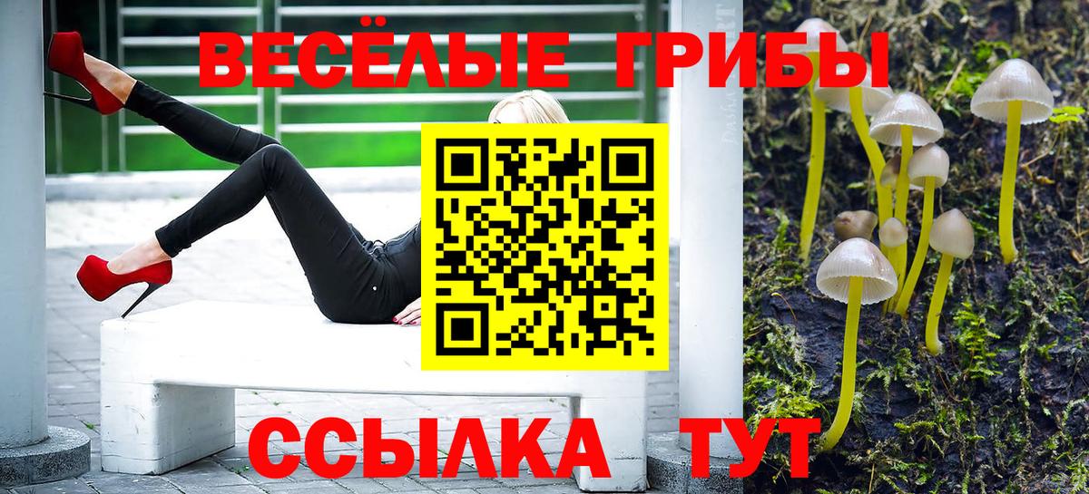 Галлюциногенные грибы ЛСД  Вход с VPN  Ноябрьск 